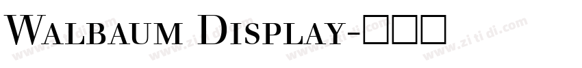 Walbaum Display字体转换